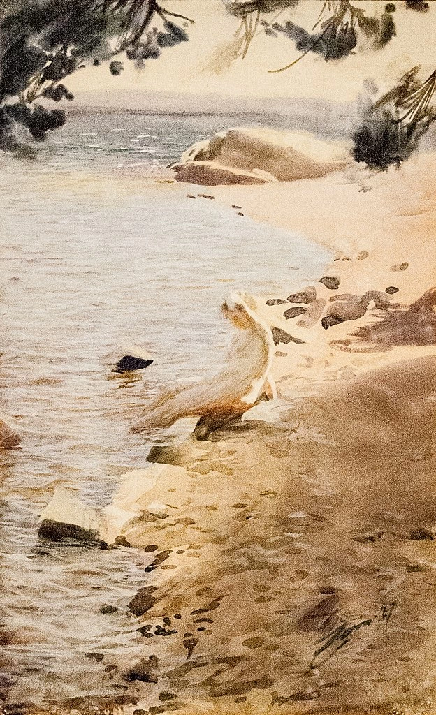 Arcipelago di Stoccolma, studio - Zornsamlingarna, Mora